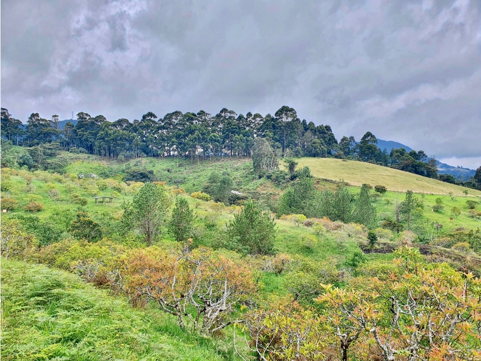 lote para la venta en La Ceja — foto 2