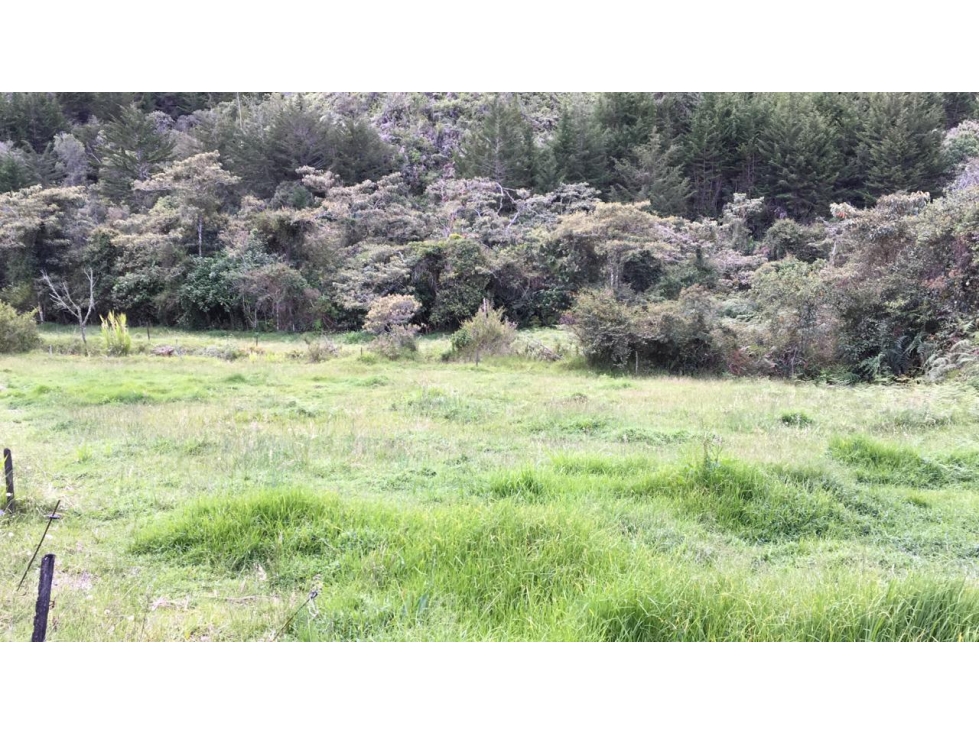 Venta de Finca en El Retiro sector Pantanillo - 2