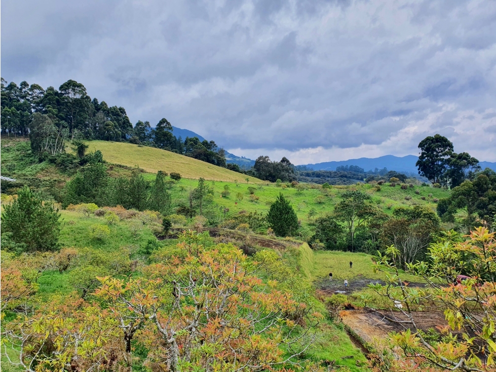 lote para la venta en La Ceja — foto 6