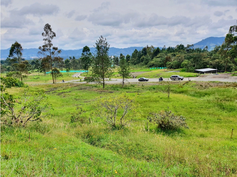 lote para la venta en La Ceja