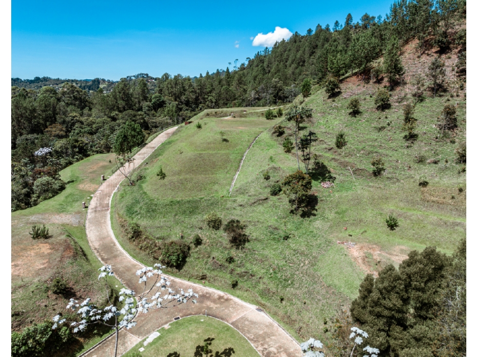 Lote en venta en El Retiro