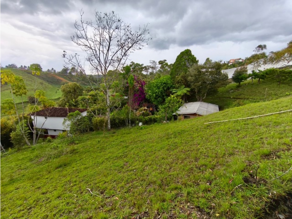 Lote para la venta en San Vicente Ferrer