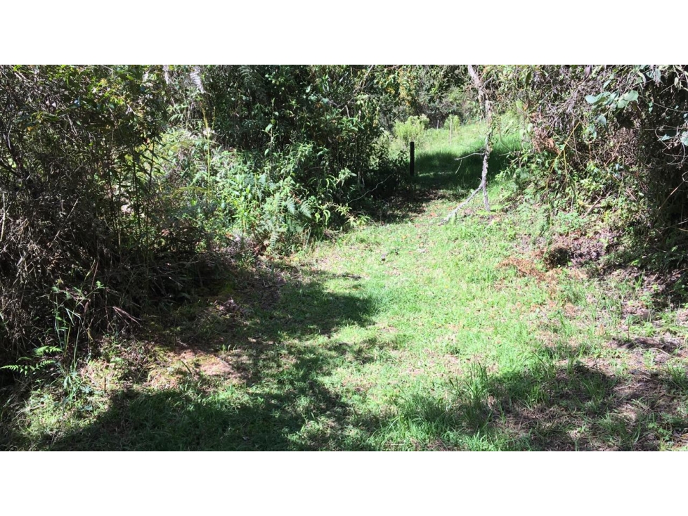 Venta de Finca en El Retiro sector Pantanillo - 5