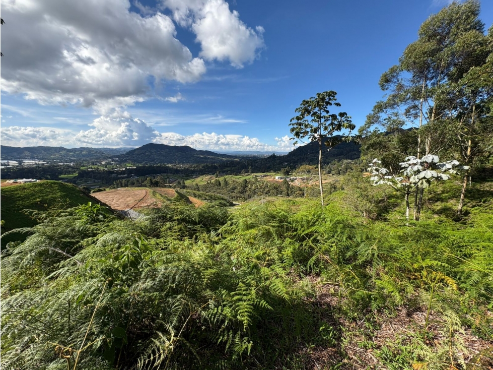 Lote para la venta en la Ceja en parcelación cerrada — foto 5