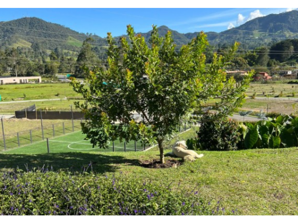 Lote para la venta en la Ceja en parcelación cerrada — foto 6