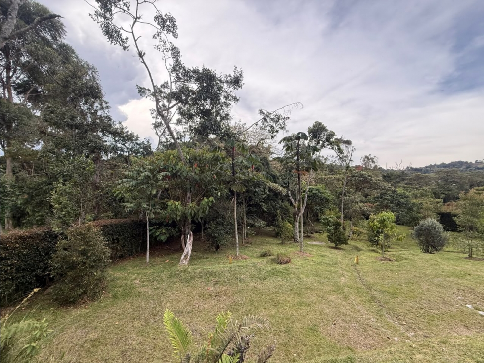Lote para la venta en el alto de las Palmas — foto 6