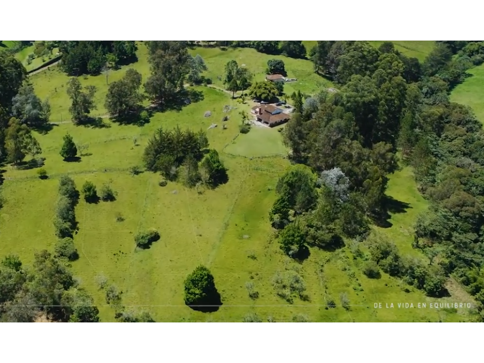 Lote para la venta en la Ceja — foto 4