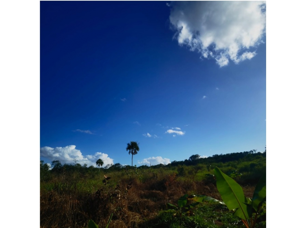 Rancho con cenote en venta, 28 hectáreas en Calotmul, Yucatán - 2