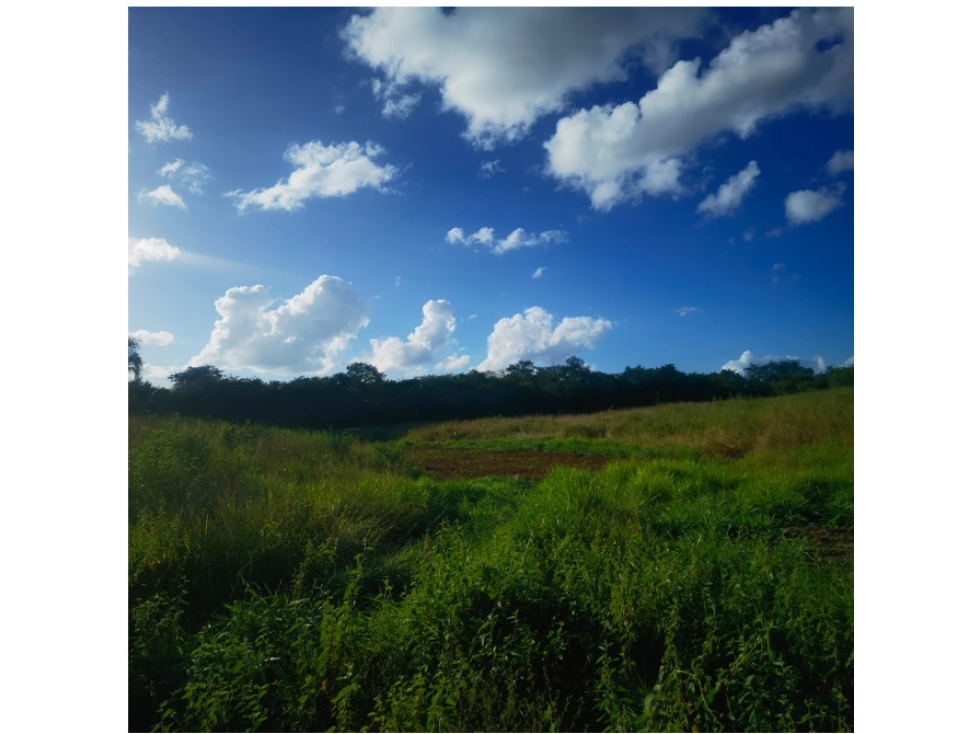 Rancho con cenote en venta, 28 hectáreas en Calotmul, Yucatán - 3