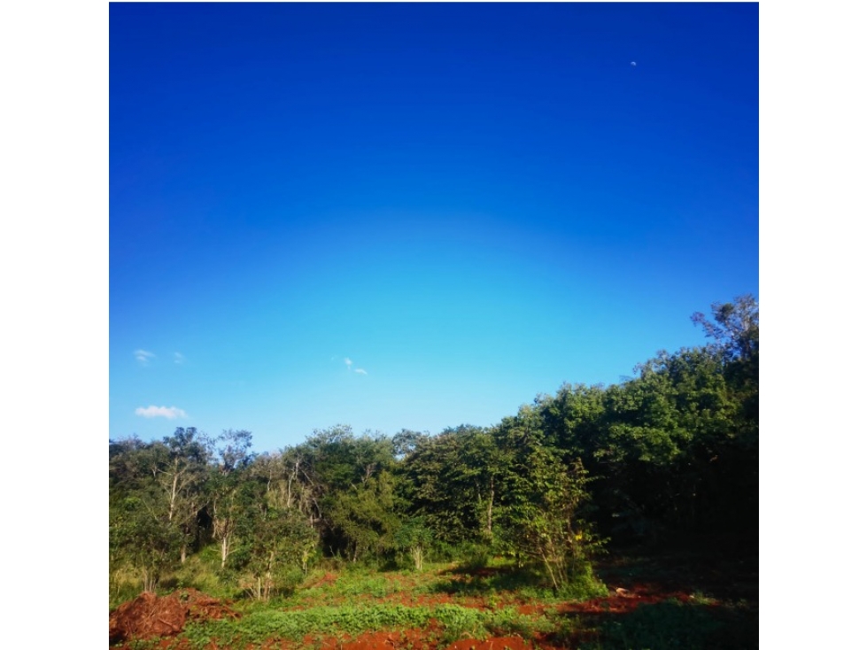 Rancho con cenote en venta, 28 hectáreas en Calotmul, Yucatán - 4