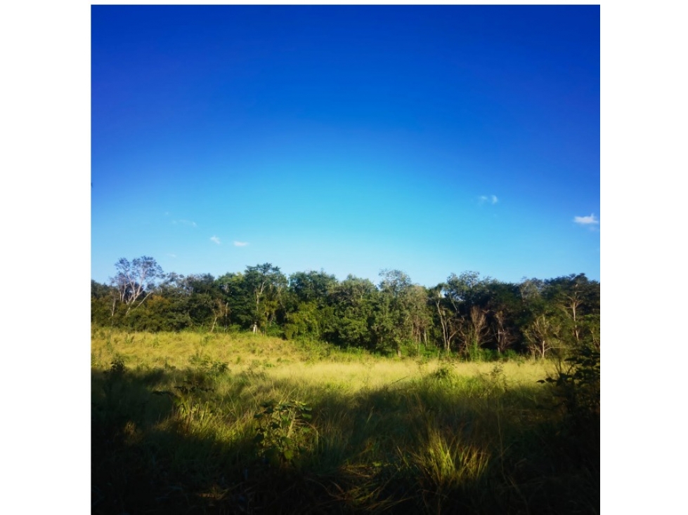 Rancho con cenote en venta, 28 hectáreas en Calotmul, Yucatán - 6