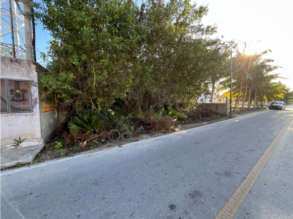 Terreno en Venta en la playa de Santa Clara, Yucatán - 4