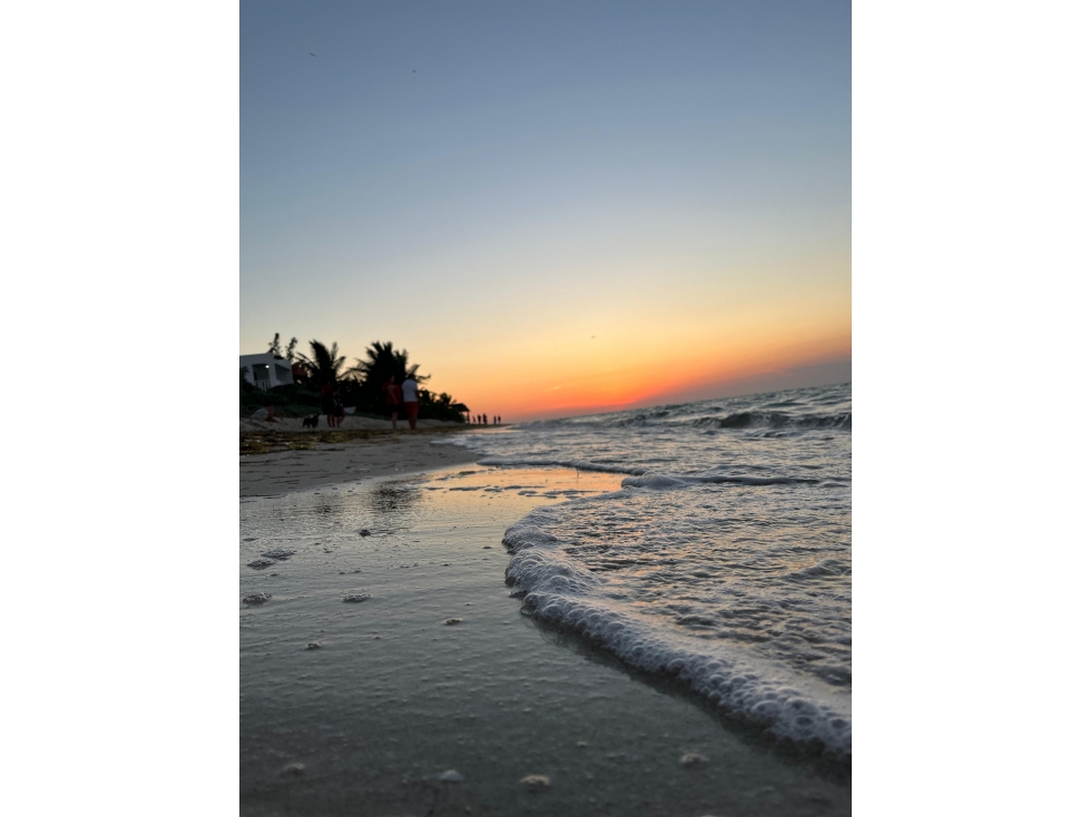 Terreno en venta, frente al mar, en San Benito, Yucatán — foto 2