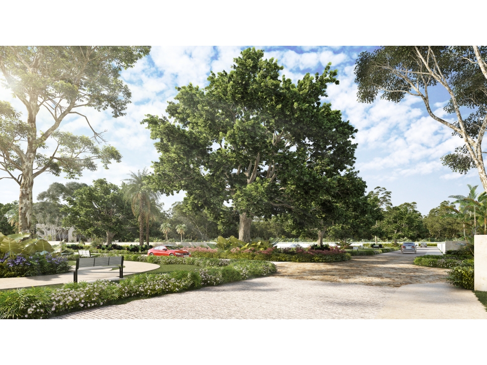 Venta de lotes residenciales en Privada Campo Magno en Yucatán — foto 6