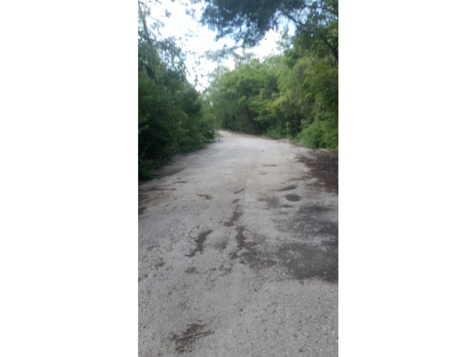 Terrenos en Venta, Cerca Valladolid Yucatán, Chichen Itzá. - 4