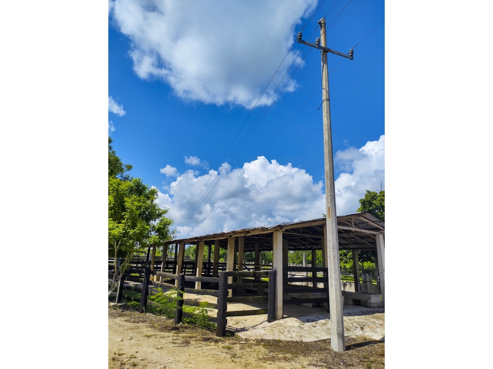 Rancho Ganadero en Venta, PROPIEDAD PRIVADA, 453 HAS, con cenotes - 2