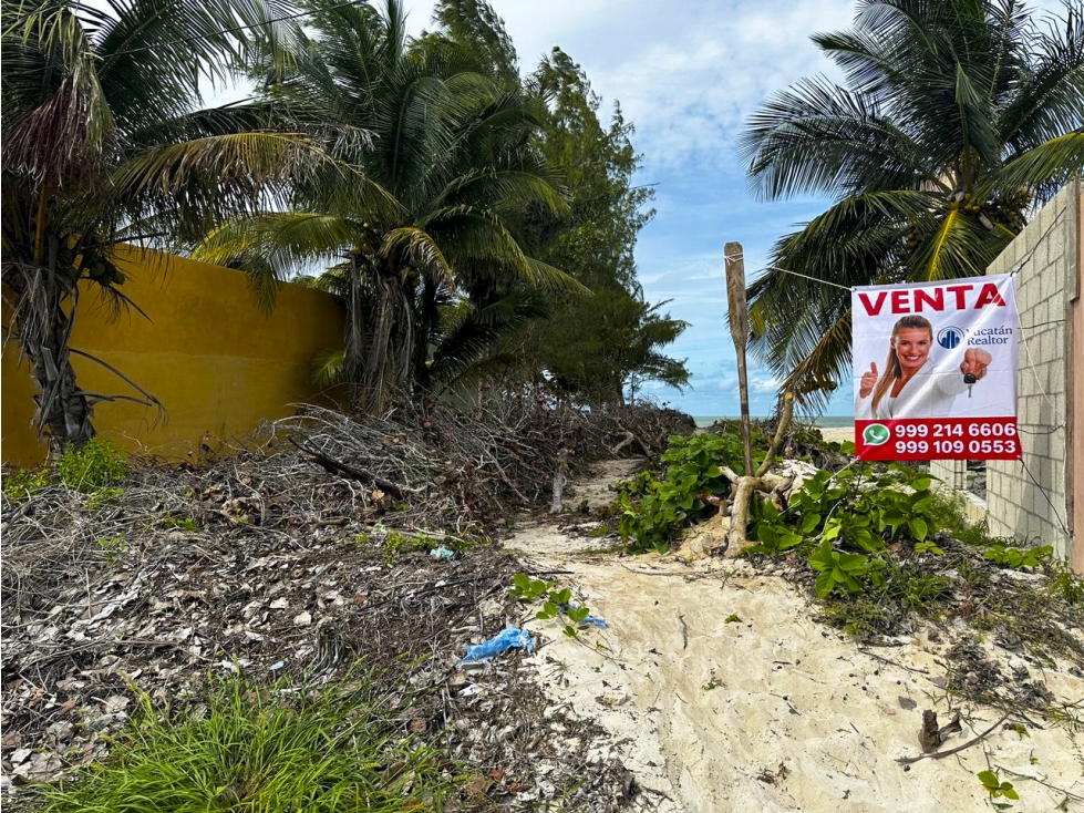 Terreno en venta, frente al mar, en San Benito, Yucatán — foto 4