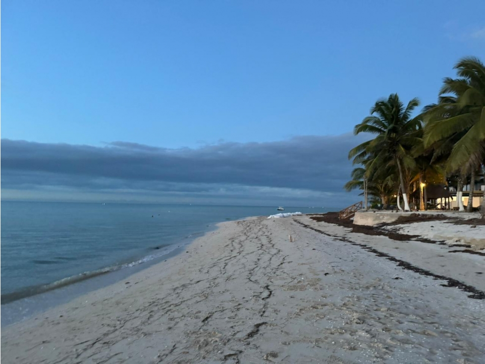Terreno en venta, frente al mar, en San Benito, Yucatán — foto 3