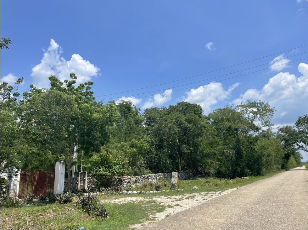 Venta de Finca de 103 Hectáreas a 24 km de Mérida - 6