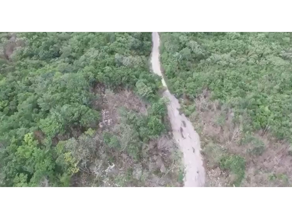Terrenos en Venta, Cerca Valladolid Yucatán, Chichen Itzá. - 3