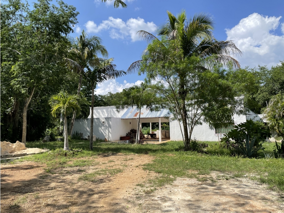 Venta de Finca de 103 Hectáreas a 24 km de Mérida - 2