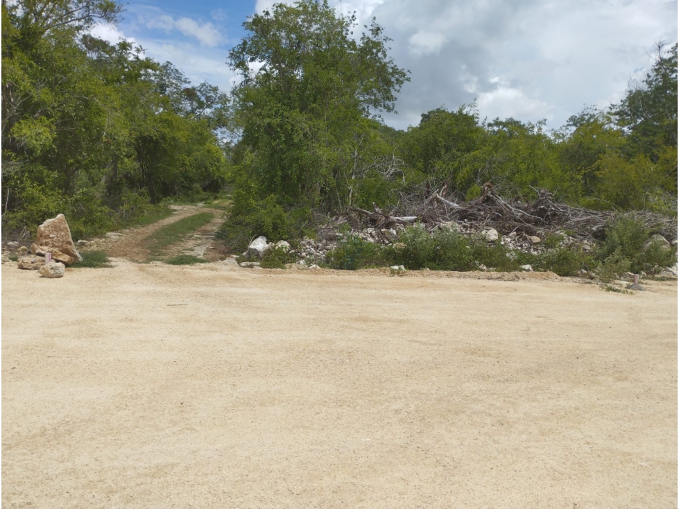 Venta de Terreno en Ucú Yucatan de 500 metros — foto 2