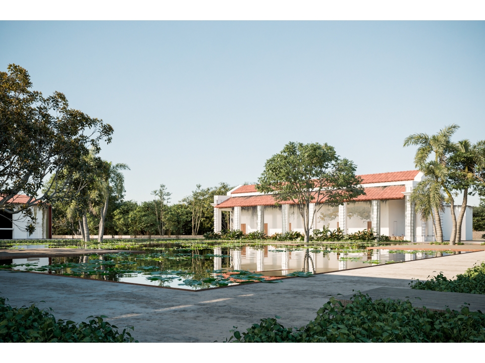 Terrenos en Venta, Hacienda San Eduardo,cerca Telchac Puerto Yucatán - 3