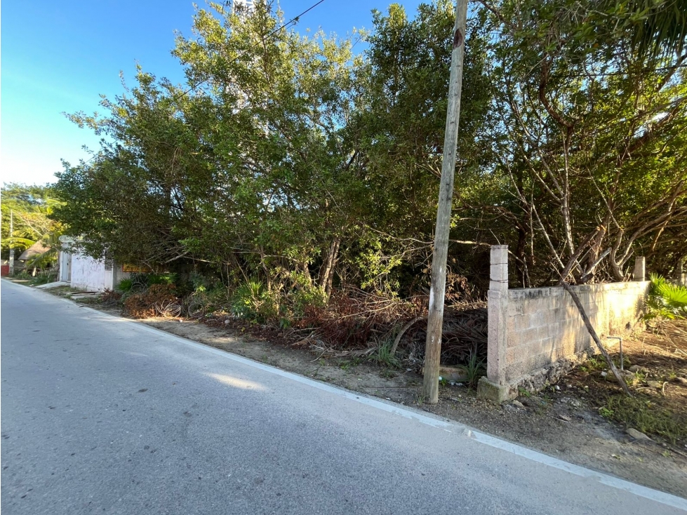 Terreno en Venta en la playa de Santa Clara, Yucatán - 3