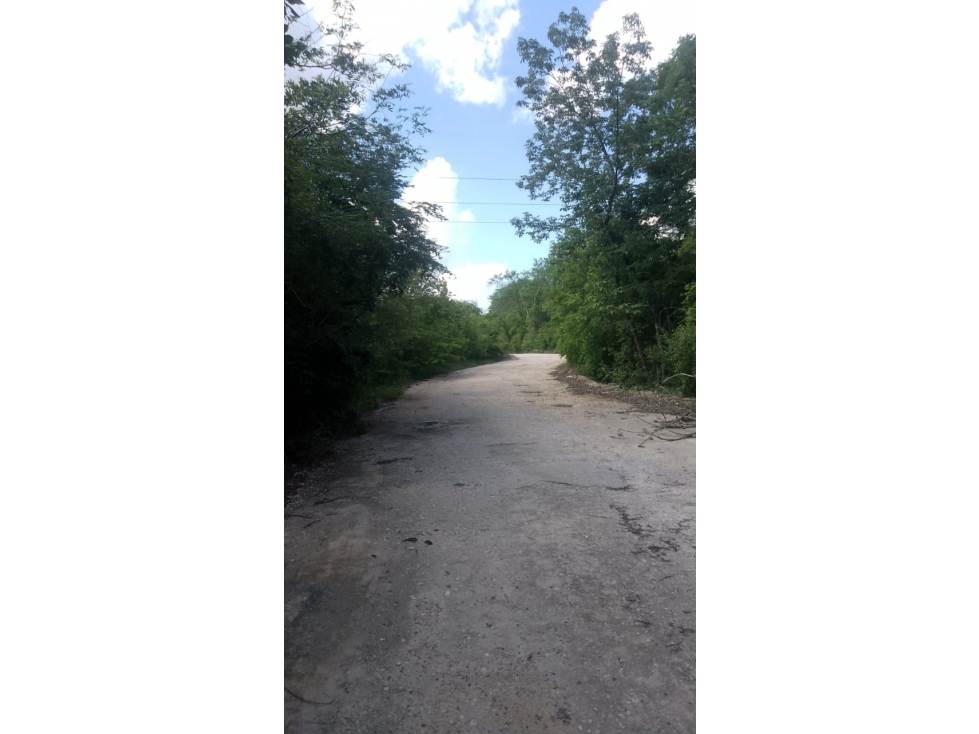 Terrenos en Venta, Cerca Valladolid Yucatán, Chichen Itzá. - 5