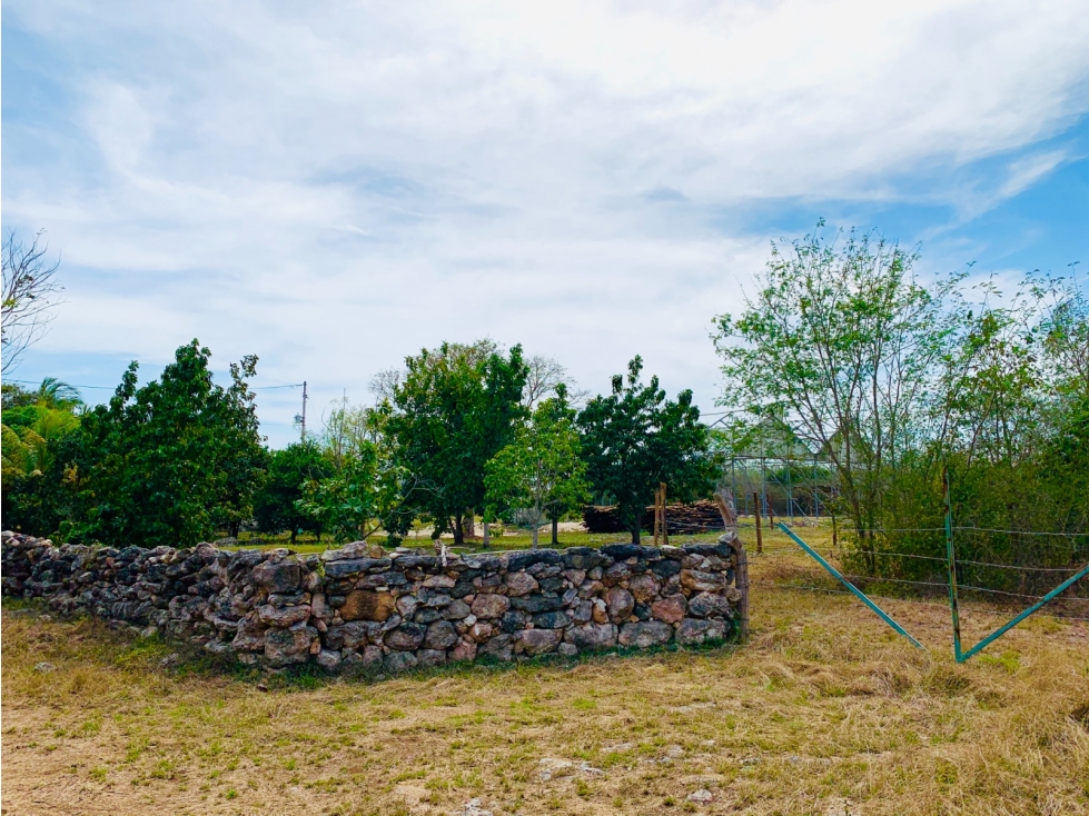 Venta de rancho en Yobain Yucatán - 2