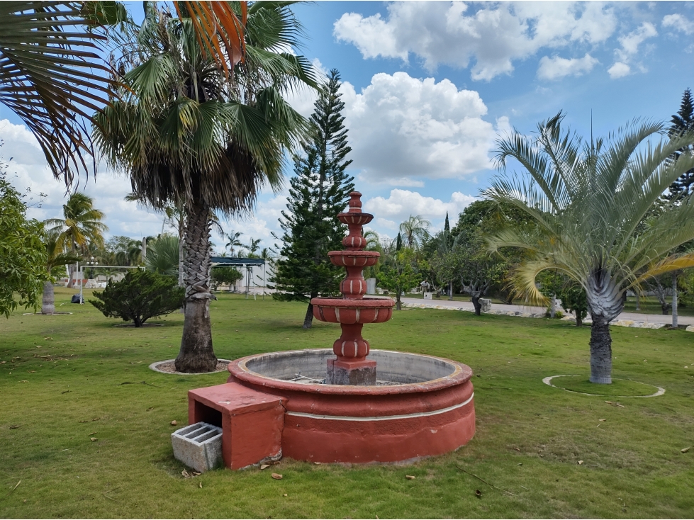 En venta Quinta, Yucatán, amplio terreno, arbolado carretera Motul — foto 6