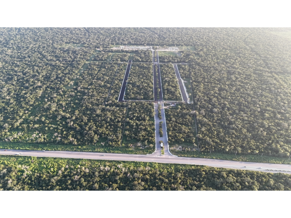 Venta de Terrenos para uso industrial, PARQUE ENDEMICO, MERIDA. — foto 4