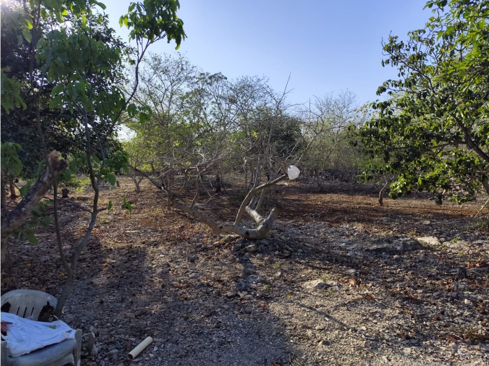 Terreno en Venta en Yucatán Mérida con superficie de 4000 metros. — foto 3