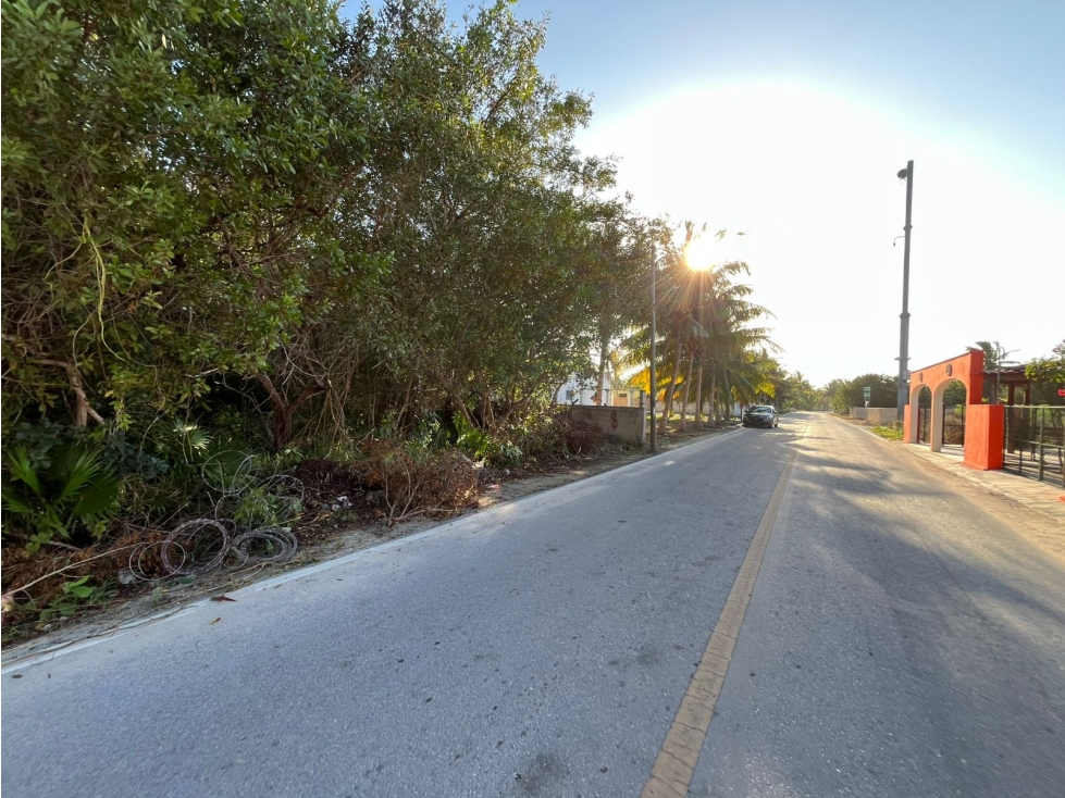 Terreno en Venta en la playa de Santa Clara, Yucatán - 2