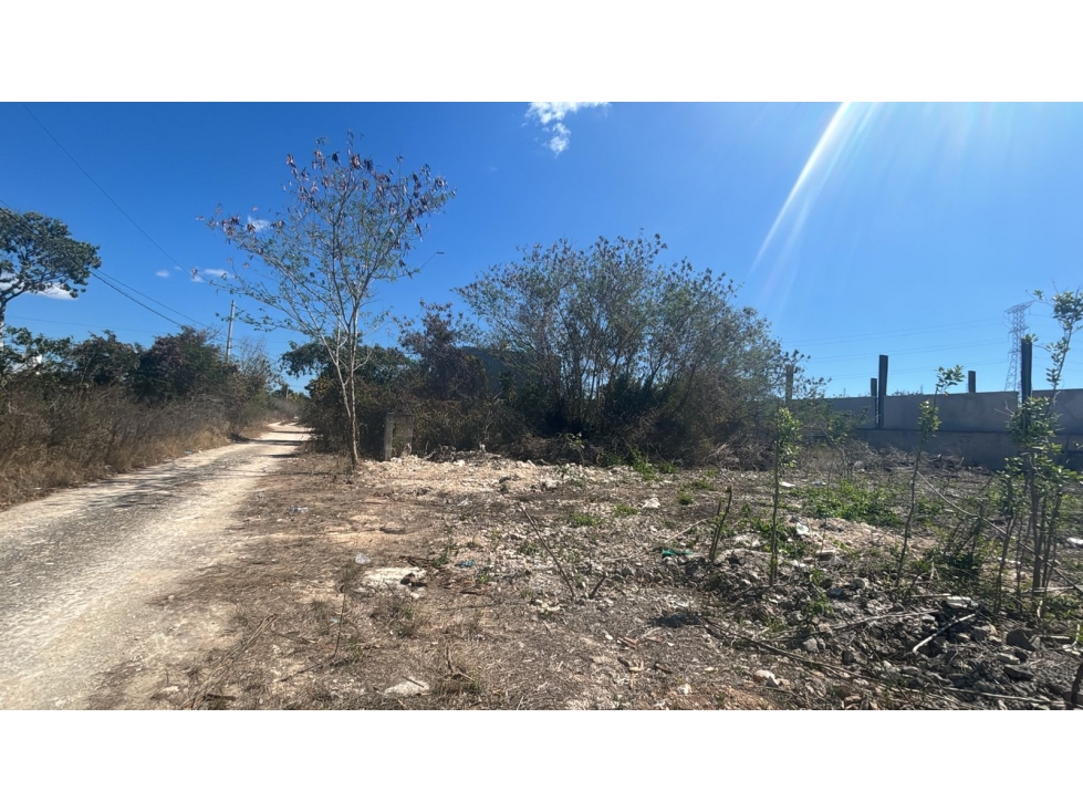 Venta de Terreno en Yucatan Dzitya — foto 2