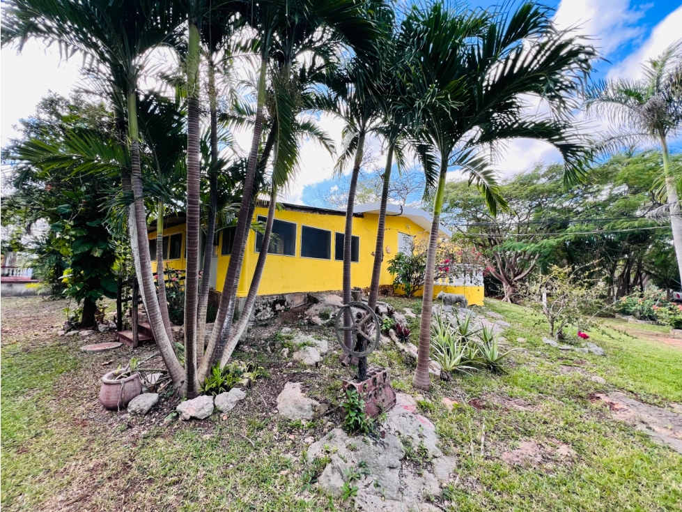 Rancho en Venta en tahmek Yucatán - 3
