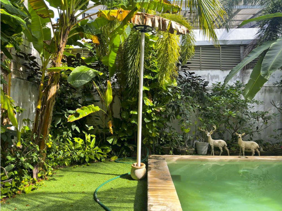 Venta casa, con piscina y 3 recamaras en Praderas del Mayab - 6