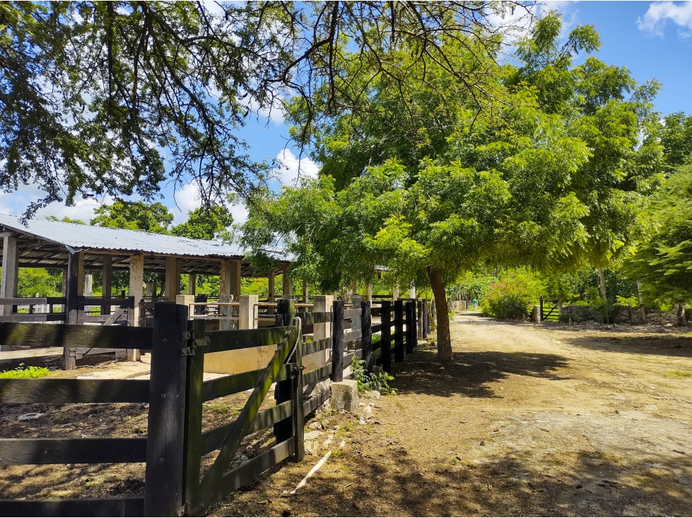 Rancho Ganadero en Venta, PROPIEDAD PRIVADA, 453 HAS, con cenotes - 3