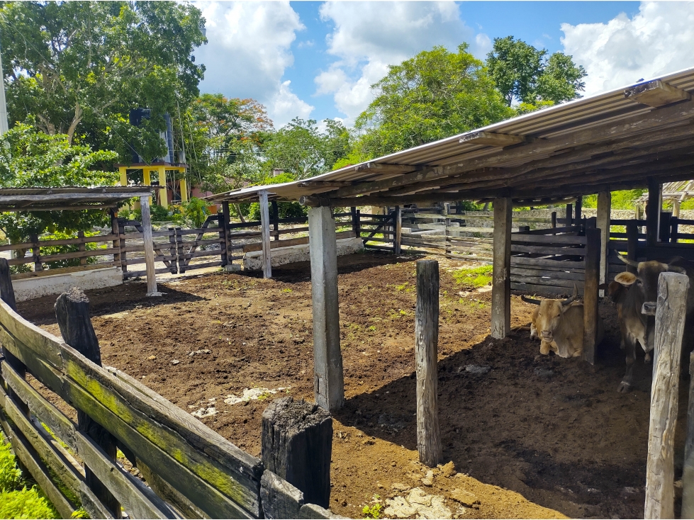 Rancho Ganadero en Venta, PROPIEDAD PRIVADA, 453 HAS, con cenotes - 4