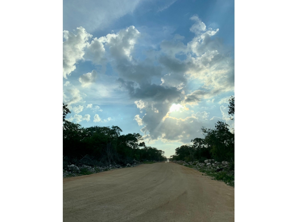 Venta de Terreno en Ucú Yucatan de 500 metros — foto 4