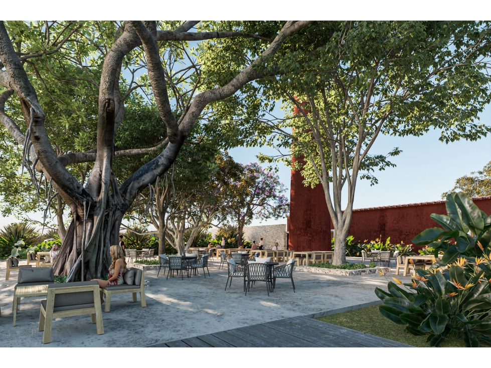 Terrenos en Venta, Hacienda San Eduardo,cerca Telchac Puerto Yucatán - 6