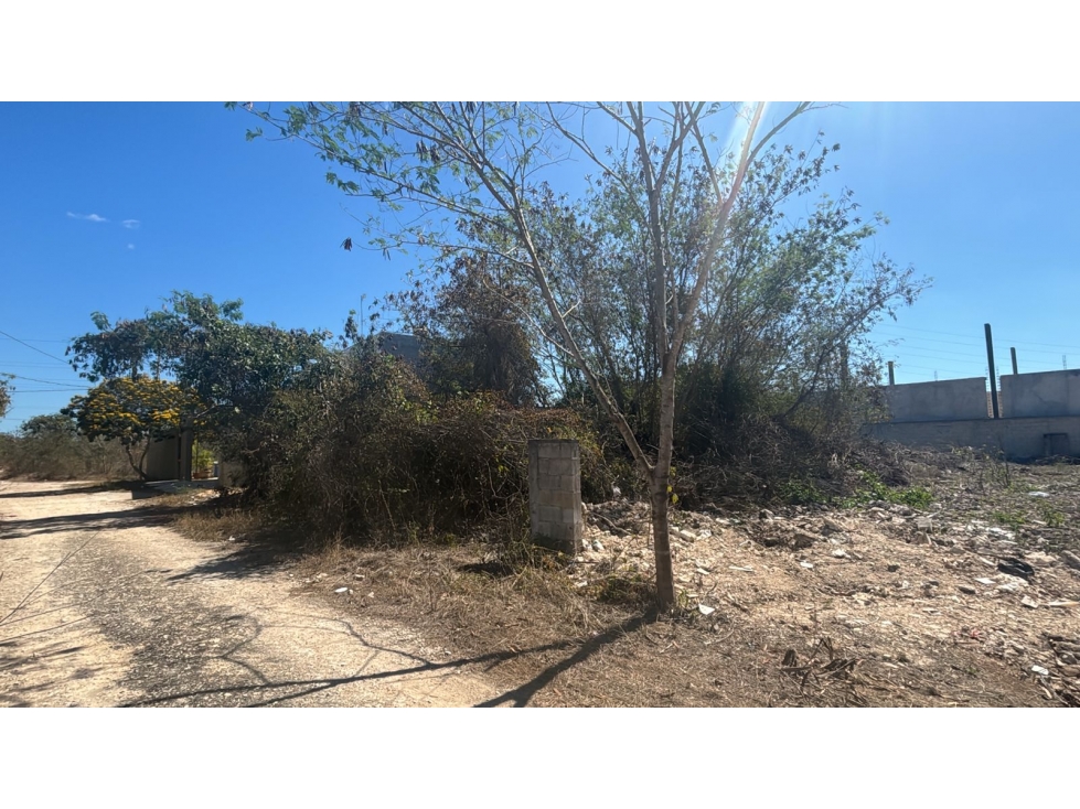 Venta de Terreno en Yucatan Dzitya — foto 4