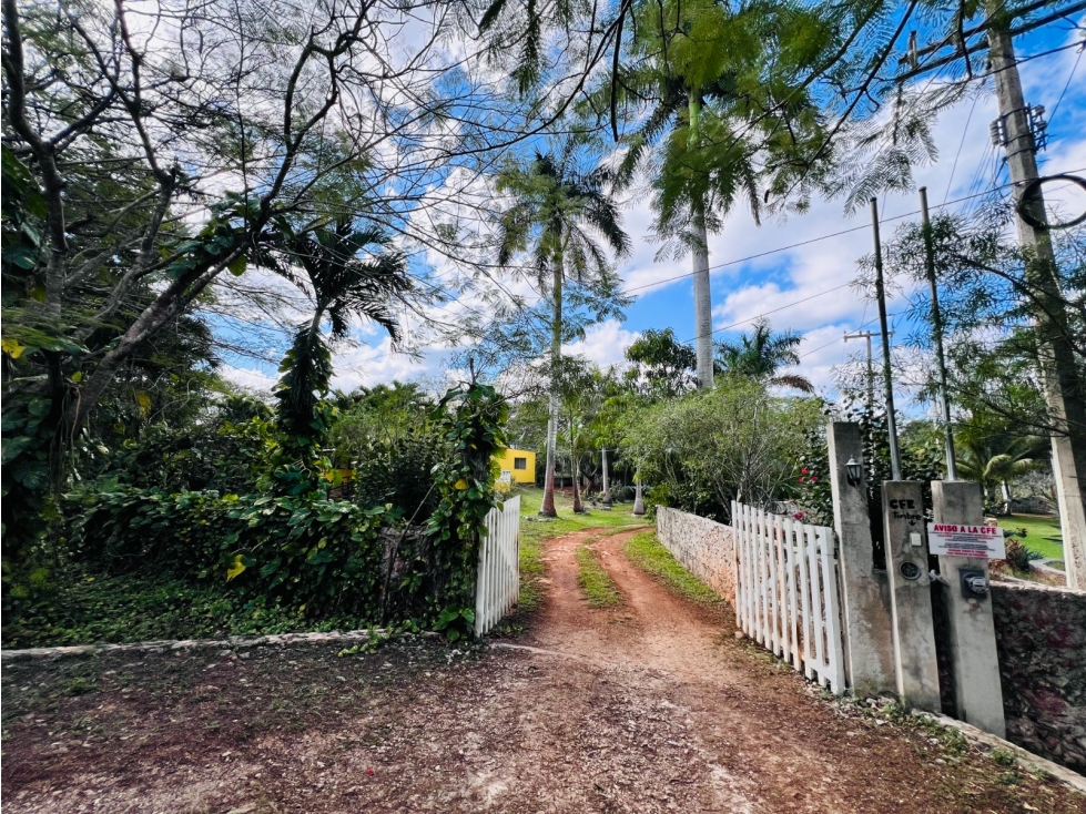 Rancho en Venta en tahmek Yucatán - 4