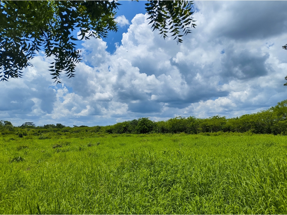 Rancho Ganadero en Venta, PROPIEDAD PRIVADA, 453 HAS, con cenotes - 5