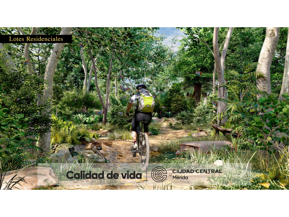 Venta de lotes residenciales en el Norte de Mérida — foto 6