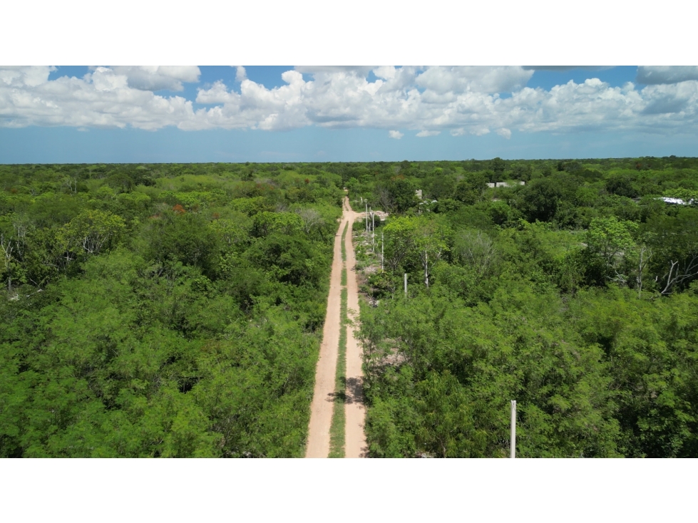 Venta de Terreno en Ucú Yucatan de 500 metros — foto 5