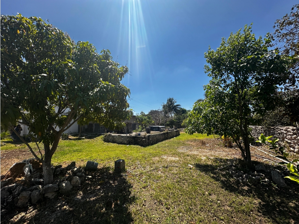 Terreno en venta en Paraíso Progreso con árboles frutales — foto 5