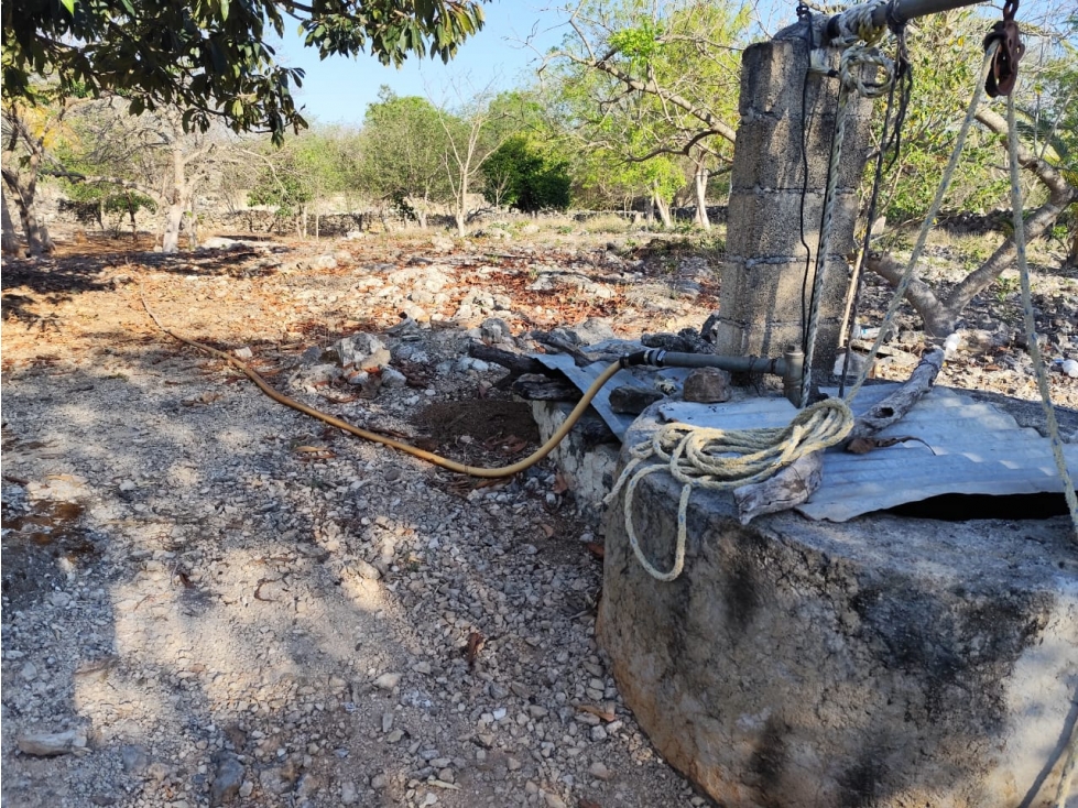 Terreno en Venta en Yucatán Mérida con superficie de 4000 metros. — foto 4