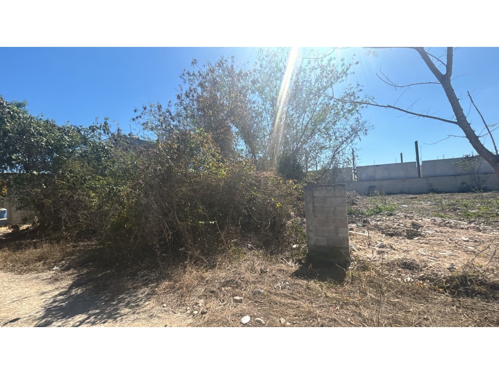 Venta de Terreno en Yucatan Dzitya — foto 5