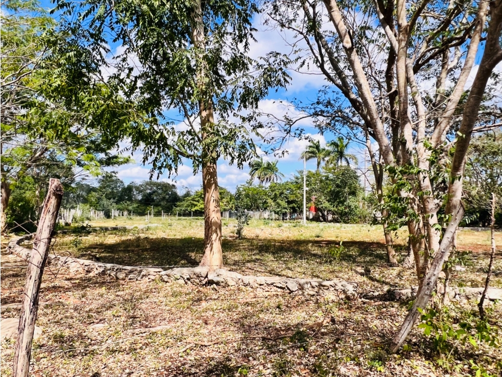 Rancho en Venta en tahmek Yucatán - 5